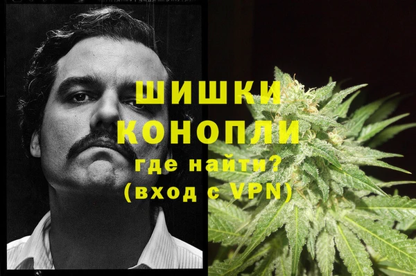тгк Верея