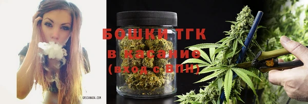 СК Бородино