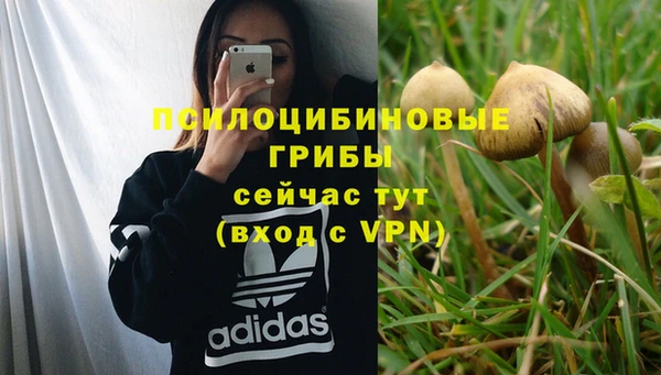 гашишное масло Вяземский