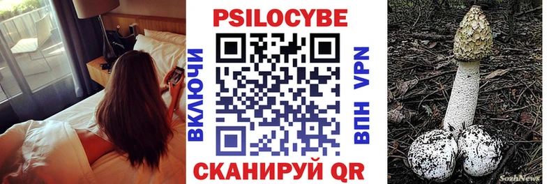 Купить  Фатеж  Псилоцибиновые грибы прущие грибы 